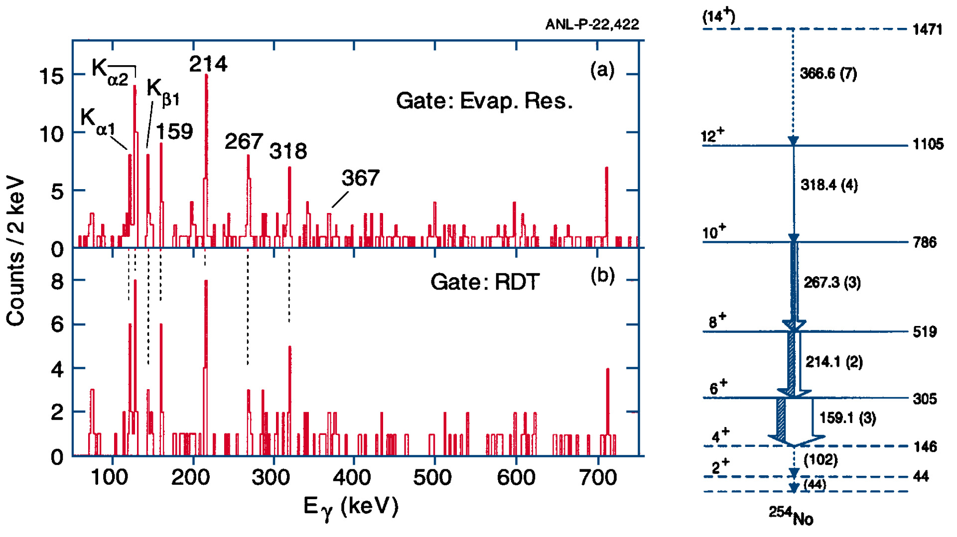 254No Spectrum and Level Scheme