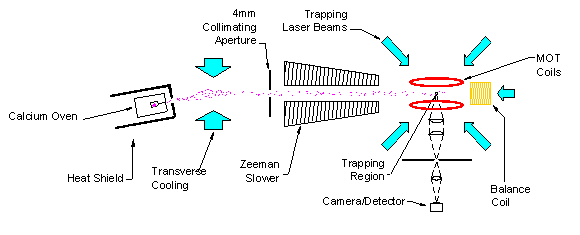 Calcoum Setup